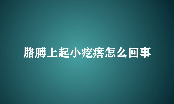 胳膊上起小疙瘩怎么回事