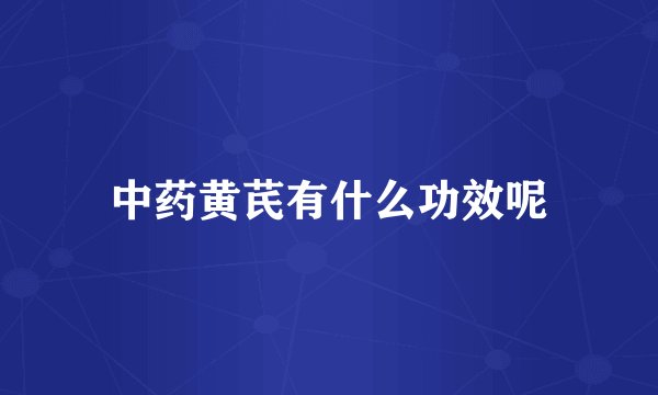 中药黄芪有什么功效呢