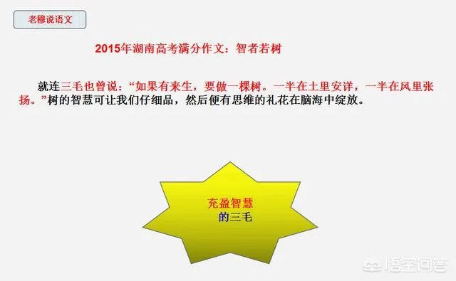 历年满分作文中,好像都有三毛的影子,如何才能把三毛写进作文呢?
