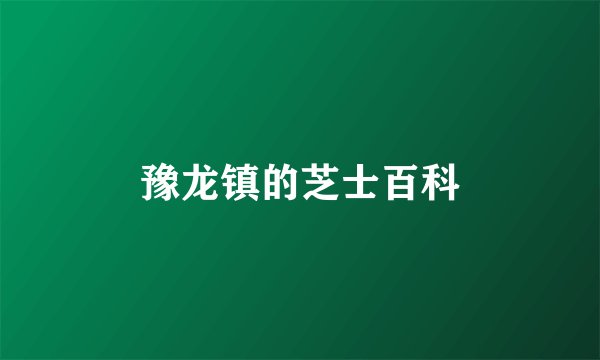 豫龙镇的芝士百科