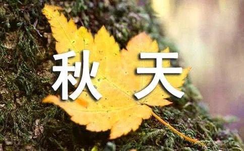秋天的图画教案