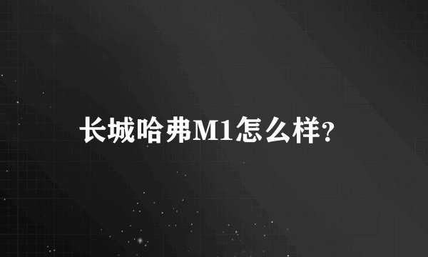 长城哈弗M1怎么样？