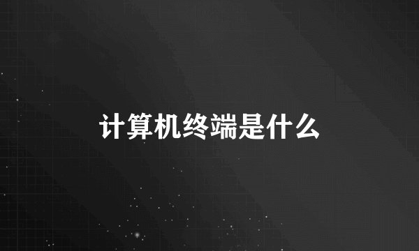 计算机终端是什么