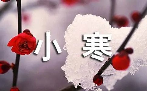 小寒的诗句