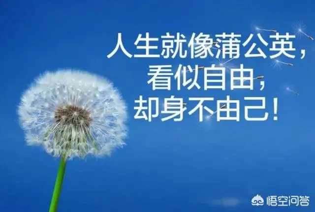 有哪些比较唯美带文字的头像可以分享？