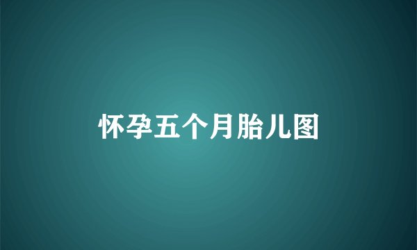 怀孕五个月胎儿图