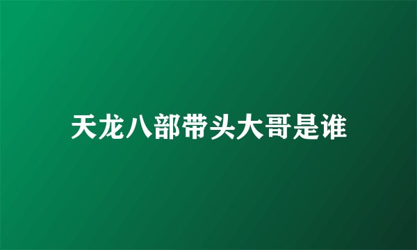 天龙八部带头大哥是谁