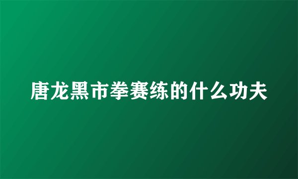 唐龙黑市拳赛练的什么功夫