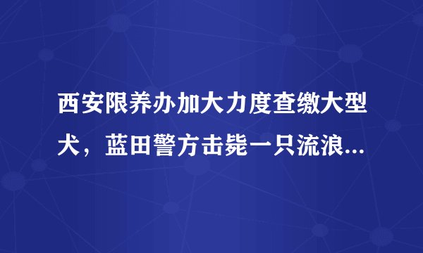 西安限养办加大力度查缴大型犬，蓝田警方击毙一只流浪藏獒, 你怎么看？