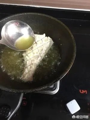 扒皮鱼的做法?