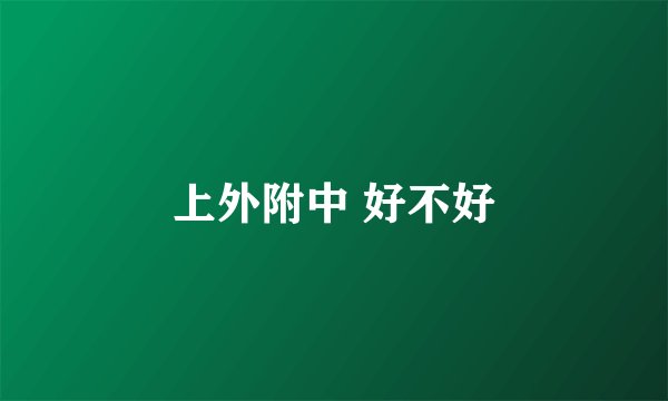 上外附中 好不好
