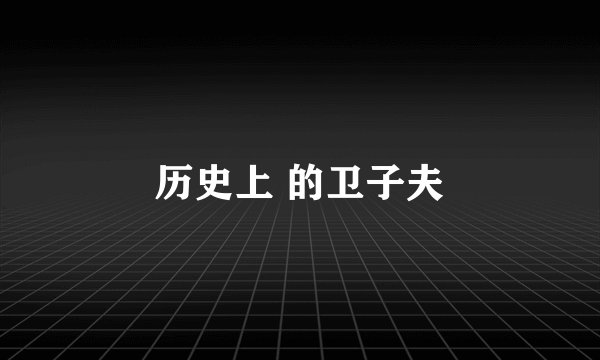 历史上 的卫子夫