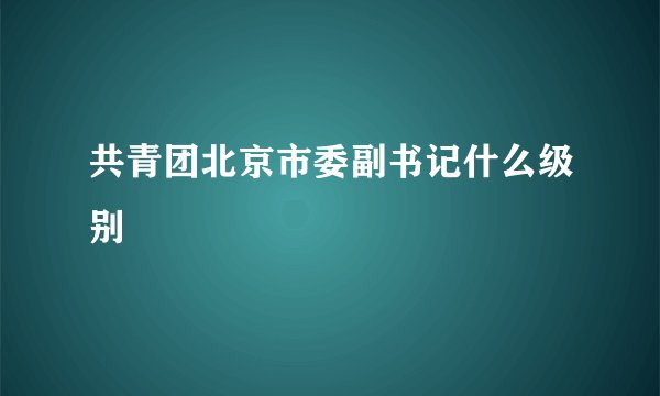 共青团北京市委副书记什么级别