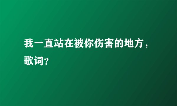 我一直站在被你伤害的地方，歌词？