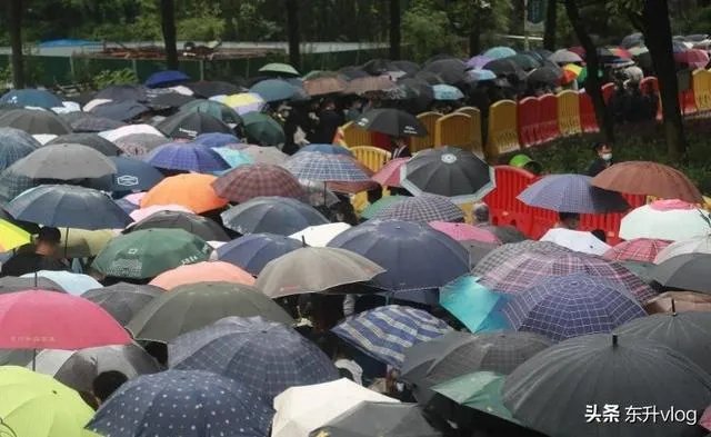 袁隆平院士逝世,为什么张庭照常直播被网友骂哭?