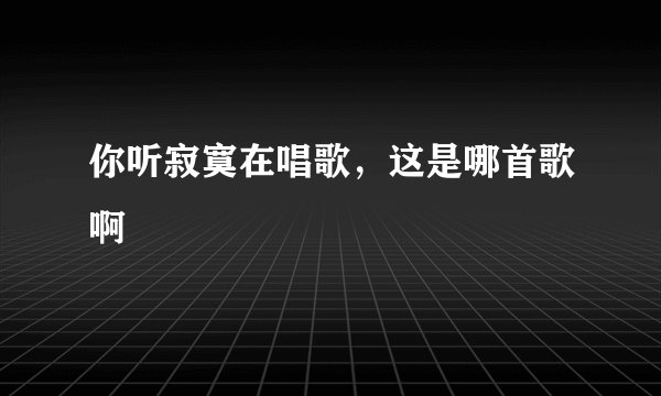 你听寂寞在唱歌，这是哪首歌啊