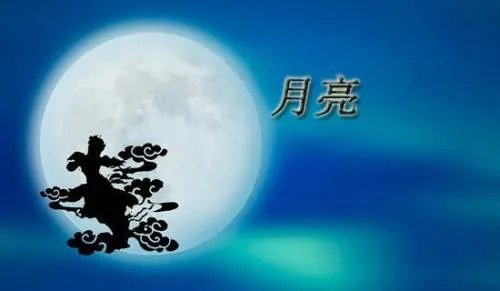 不一样的月亮作文