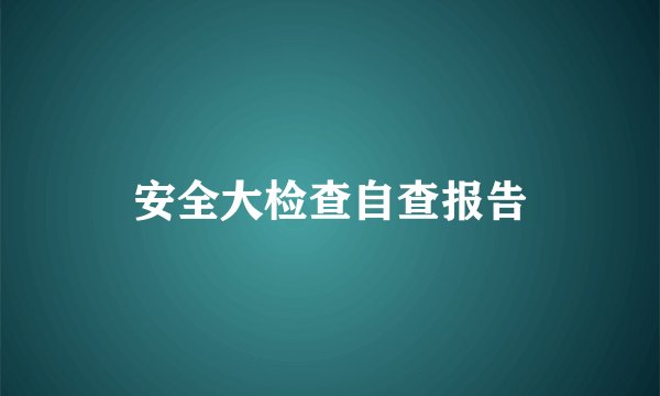 安全大检查自查报告