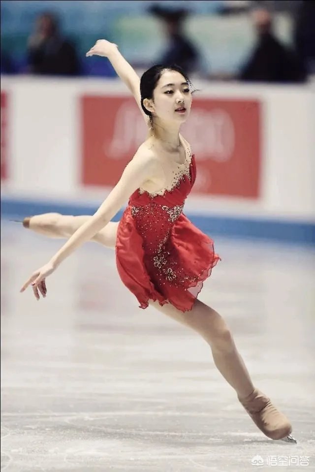 樊振东李子君