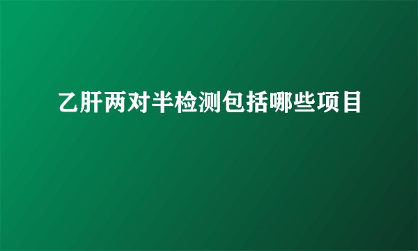 乙肝两对半检测包括哪些项目