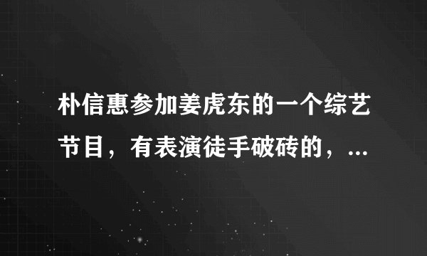 朴信惠参加姜虎东的一个综艺节目,有表演徒手破砖的,叫什么?