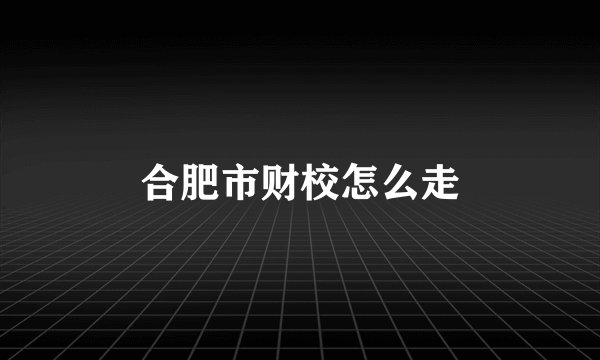 合肥市财校怎么走
