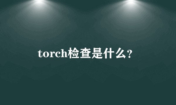 torch检查是什么？