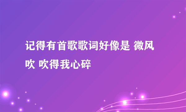 记得有首歌歌词好像是 微风吹 吹得我心碎