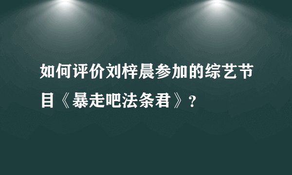 如何评价刘梓晨参加的综艺节目《暴走吧法条君》?