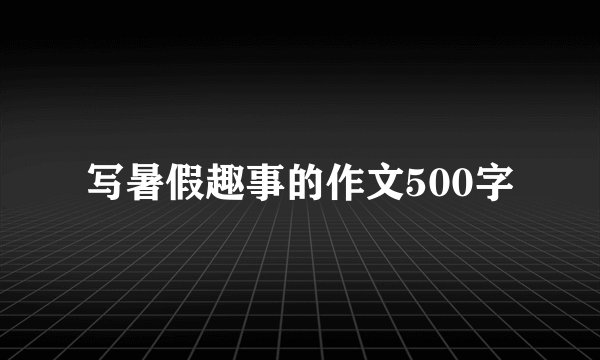 写暑假趣事的作文500字