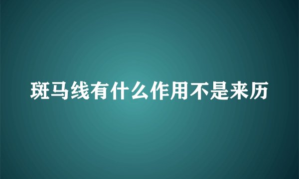 斑马线有什么作用不是来历