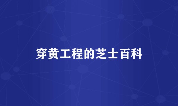 穿黄工程的芝士百科