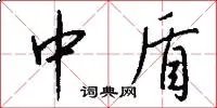 中盾