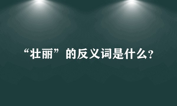“壮丽”的反义词是什么?