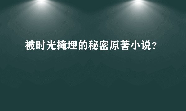 被时光掩埋的秘密原著小说?