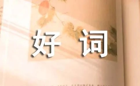 好词好句好段摘抄