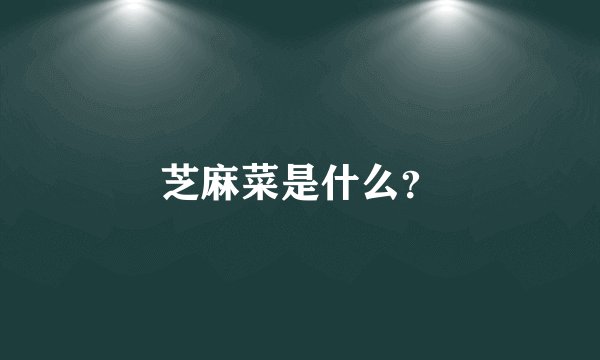 芝麻菜是什么？
