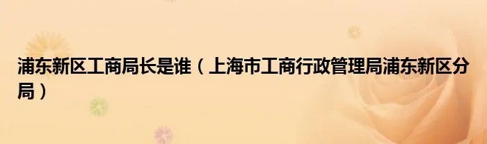 浦东新区工商局长是谁(上海市工商行政管理局浦东新区分局)