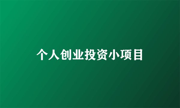 个人创业投资小项目