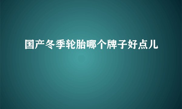 国产冬季轮胎哪个牌子好点儿