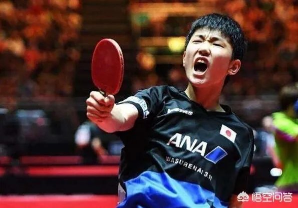 怎么评价樊振东取胜林高远拿下首个亚洲杯冠军?