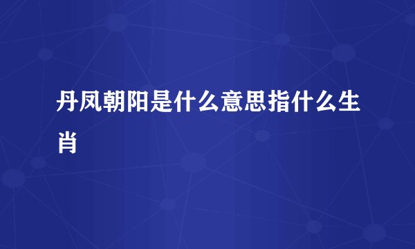 丹凤朝阳是什么意思指什么生肖