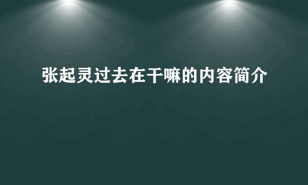张起灵过去在干嘛的内容简介