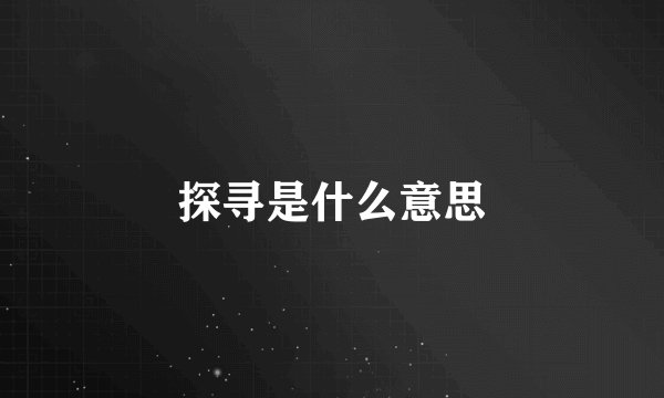 探寻是什么意思