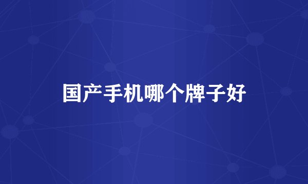 国产手机哪个牌子好