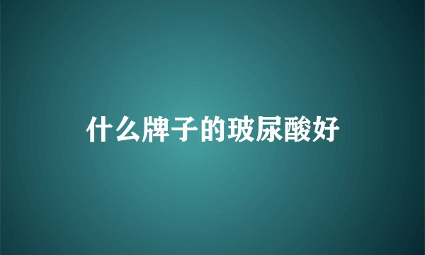 什么牌子的玻尿酸好