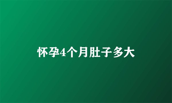 怀孕4个月肚子多大