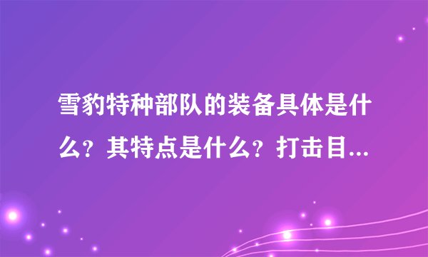 雪豹特种部队的装备具体是什么？其特点是什么？打击目标是什么？