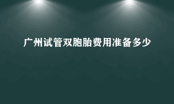 广州试管双胞胎费用准备多少