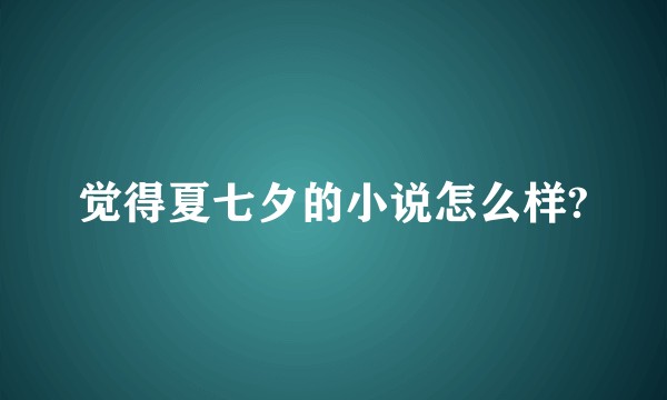觉得夏七夕的小说怎么样?